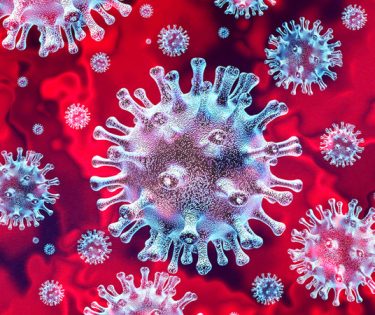 virus