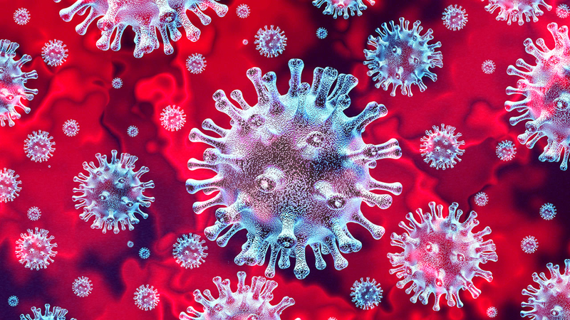 virus
