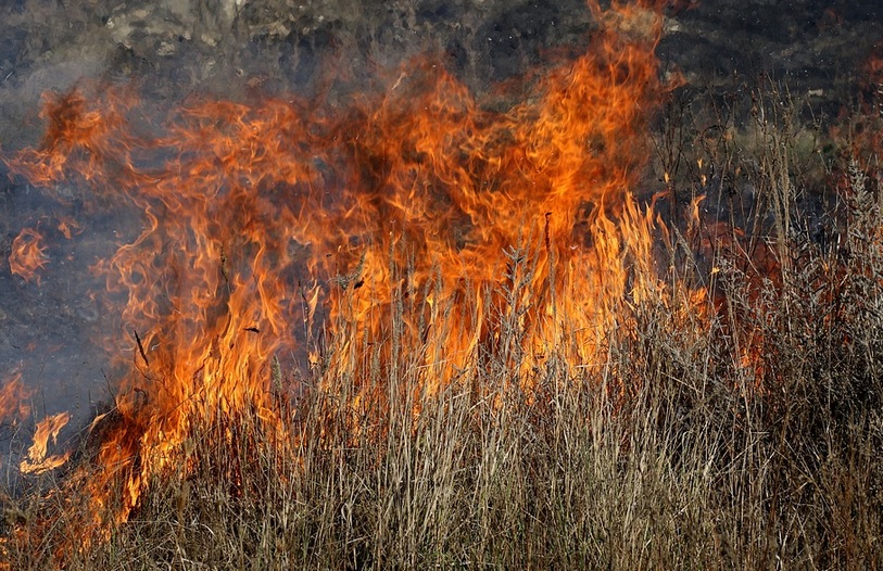 incendiu-vegetatie-Buzau
