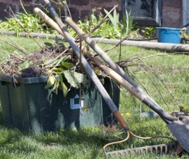 deșeuri vegetale-curățenie curte
