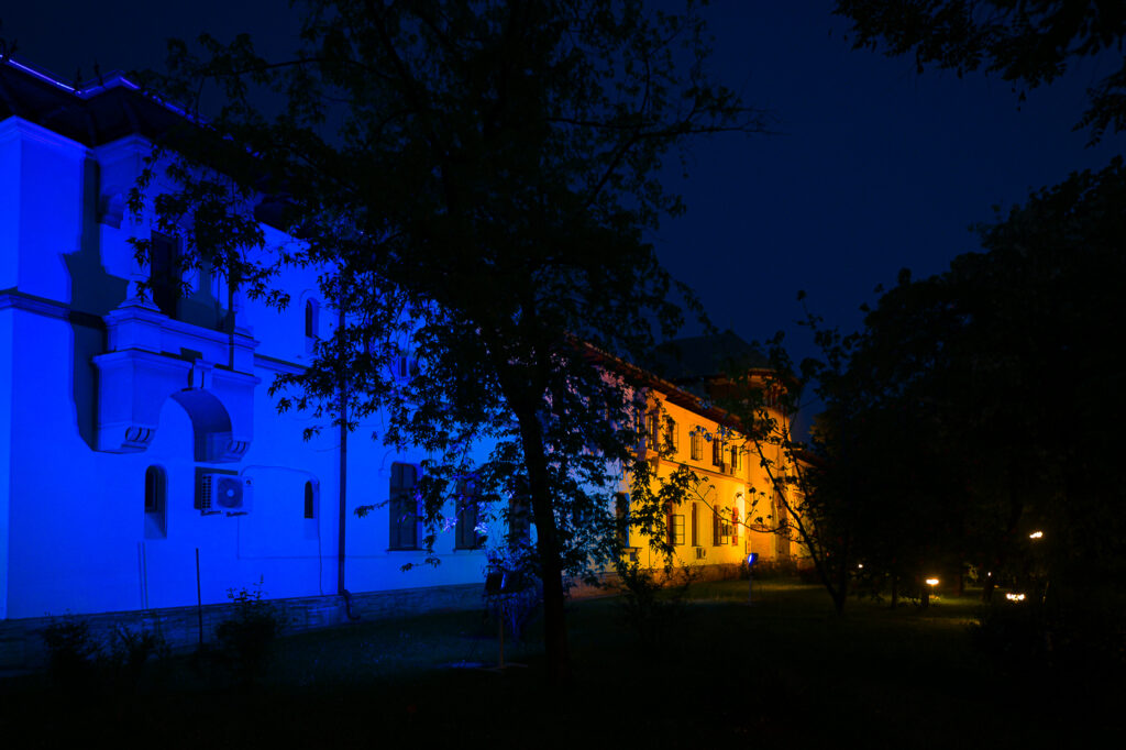 Palatul Cotroceni
