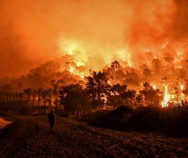 incendii vegetatie