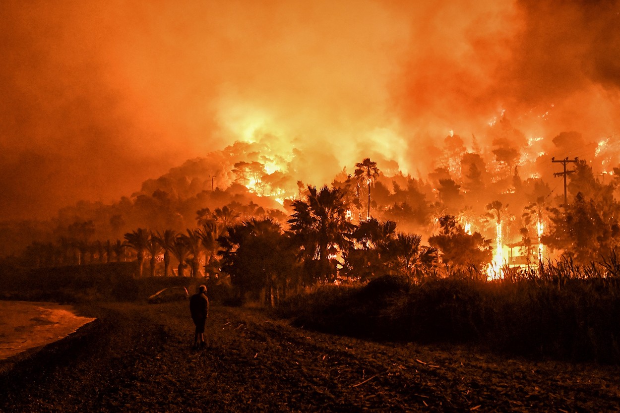 incendii vegetatie